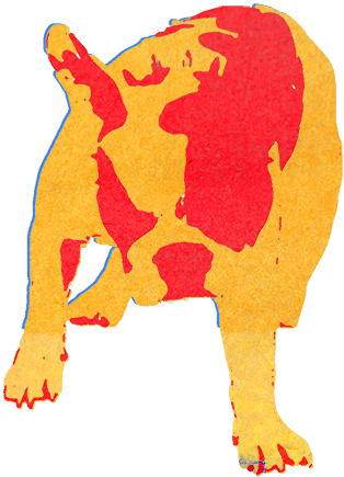 The DogzNadz | Free Music Downloads | Breakbeats | Funk